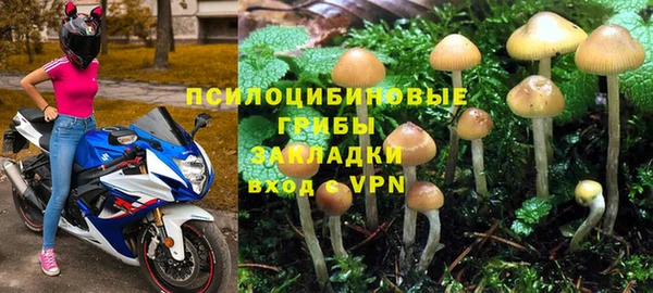 гидропоника Алексин