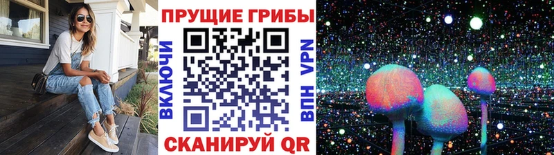 Псилоцибиновые грибы Psilocybine cubensis  Ставрополь 
